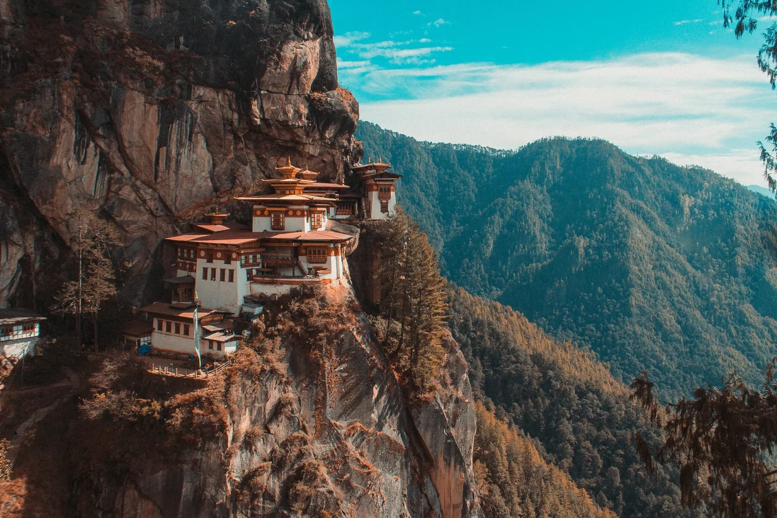 Gold morning light on the cliffside temples of Paro Taktsang above pine forest