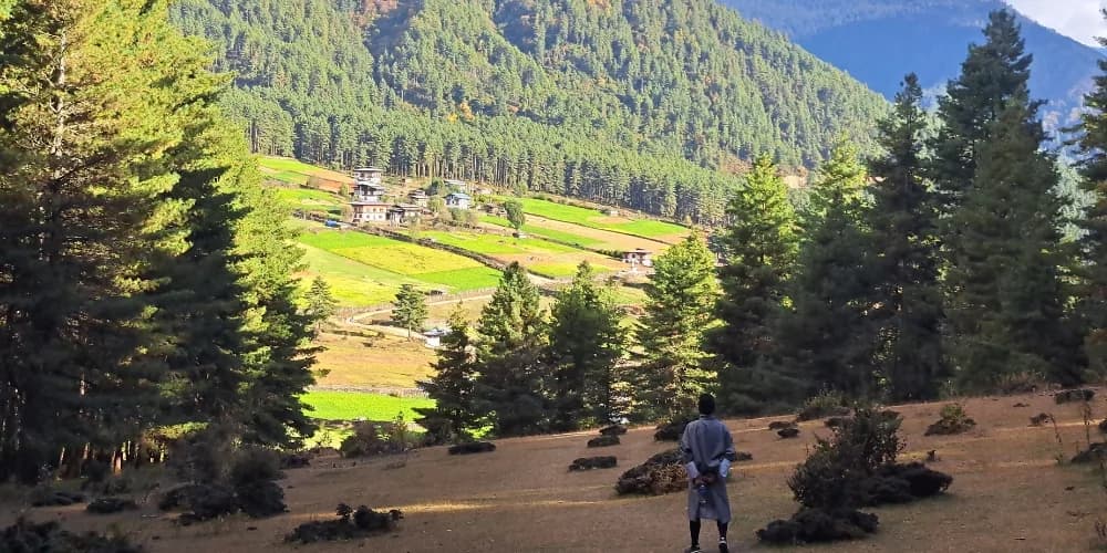 The wide floor of the Phobjikha valley with forested ridges above and a small farmhouse in the middle distance