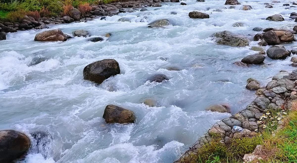 White water breaking around dark boulders on a fast Bhutanese river lined with grass