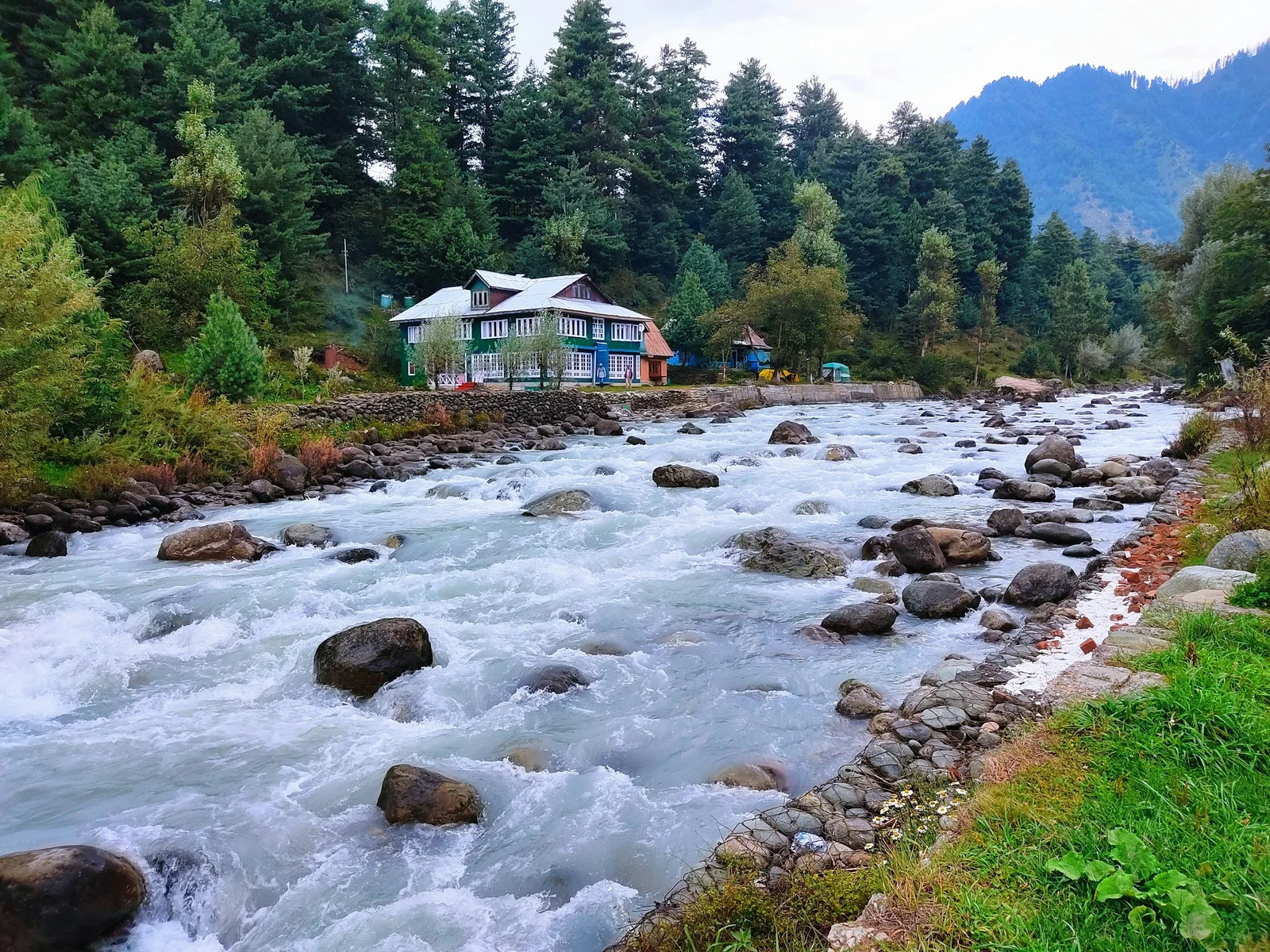 A clear valley river running between mossy boulders under broadleaf forest in central Bhutan